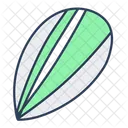 Almond Dry Fruit Food Icon