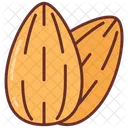 Almond  Icon
