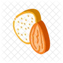 Almond Nut  Icon