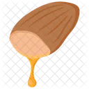 Almond oil  Icon