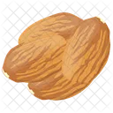 Almonds Whole Almond Raw Almonds Icon