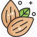 Almonds Vegetable Vegetarian Icon