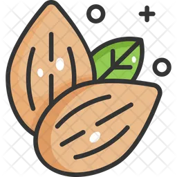 Almonds  Icon