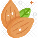 Almonds Vegetable Vegetarian Icon