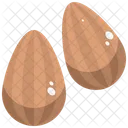 Almonds Nuts Dry Fruit Icon