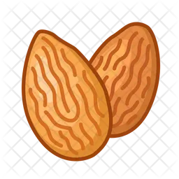 Almonds  Icon