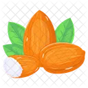 Almonds  Icon