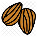 Legumes Almond Almonds Icon