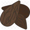 Almonds Nuts Snack Icon