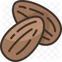 Almonds Nut Snack Icon