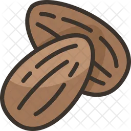 Almonds  Icon