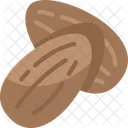 Almonds Nut Snack Icon