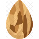 Almonds Kernel Food Icon