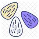 Almonds  Icon