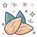 Almonds Edible Nut Dry Fruit Icon