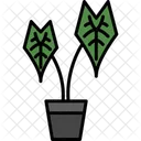 Alocasia Alocasia Pot House Plant Icon