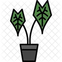 Alocasia Icon