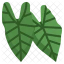 Alocasia Rubber Plant Icon