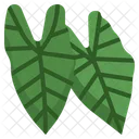 Alocasia Gummi Pflanze Symbol