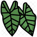Alocasia Rubber Plant Icon