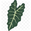 Alocasia Polly Tropical Plants Tropical Leaves Icon