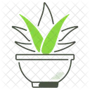 Aloe Houseplant Plant Icon