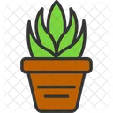 Aloe  Icon