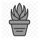 Aloe Aristata Leaves Icon