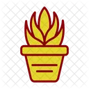 Aloe Aristata Leaves Icon