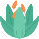 Aloe Vera Succulent Icon