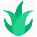 Aloe-Blatt  Symbol