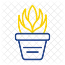 Aloe  Icon