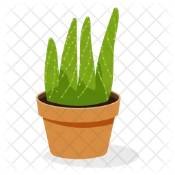 Aloe Plant  Icon