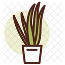 Aloe Pot  Icon