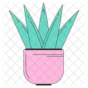 Aloe potted plant  Icon