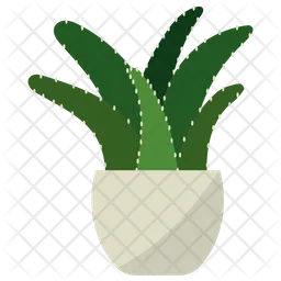 Aloe Potted Plant  Icon