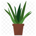 Aloe Potted Plant Icon