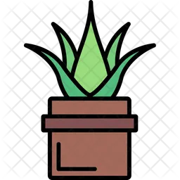 Aloe vera  Icon