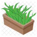 Aloe Vera Plante En Pot Nature Icône