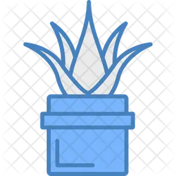 Aloe vera  Icon