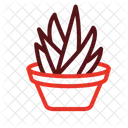 Aloe Vera Plant Nature Icon