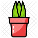 Aloe Vera Potted Plant Plant Icon