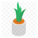 Aloe Vera Potted Plant Plant Icon