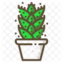 Aloe Vera Cactus Icon