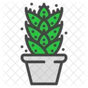 Aloe Vera Cactus Icon