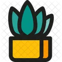 Aloe Vera  Icon