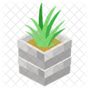 Aloe Vera Evergreen Succulent Icon