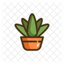 Aloe Vera Aloe Planta Ícone