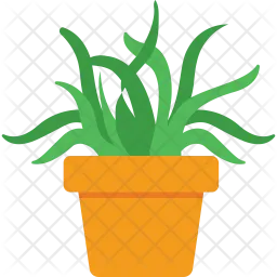 Aloe Vera  Icon