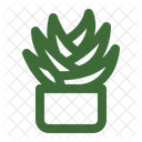 Aloe Vera Plant Succulent Icon